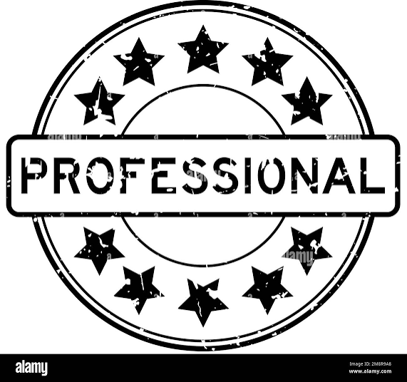 Professional AI Prompts